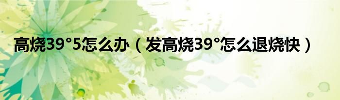 高燒39°5怎么辦（發(fā)高燒39°怎么退燒快）
