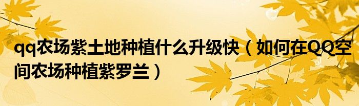 qq農(nóng)場(chǎng)紫土地種植什么升級(jí)快（如何在QQ空間農(nóng)場(chǎng)種植紫羅蘭）