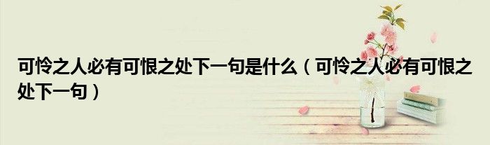 可憐之人必有可恨之處下一句是什么（可憐之人必有可恨之處下一句）