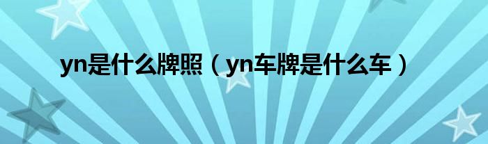 yn是什么牌照（yn車牌是什么車）