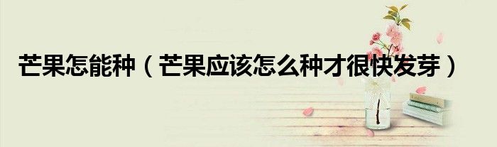 芒果怎能種（芒果應(yīng)該怎么種才很快發(fā)芽）