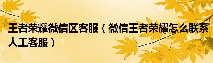 王者榮耀微信區(qū)客服（微信王者榮耀怎么聯(lián)系人工客服）