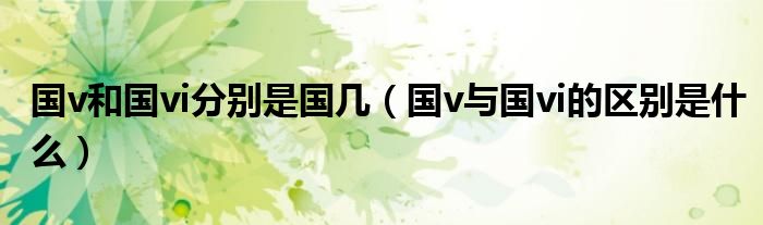 國(guó)v和國(guó)vi分別是國(guó)幾（國(guó)v與國(guó)vi的區(qū)別是什么）