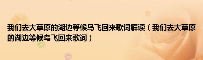 我們?nèi)ゴ蟛菰暮叺群蝤B飛回來歌詞解讀（我們?nèi)ゴ蟛菰暮叺群蝤B飛回來歌詞）