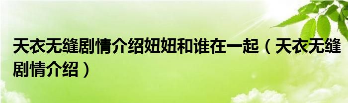 天衣無縫劇情介紹妞妞和誰在一起（天衣無縫劇情介紹）