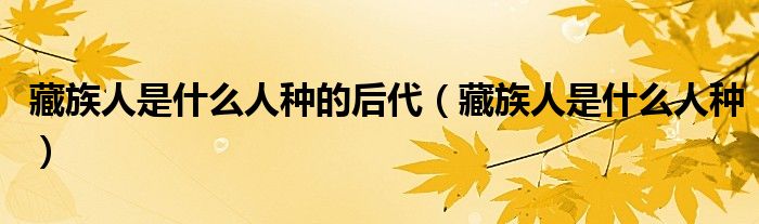 藏族人是什么人種的后代（藏族人是什么人種）