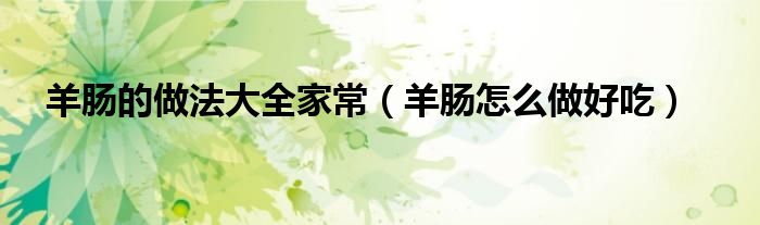 羊腸的做法大全家常（羊腸怎么做好吃）