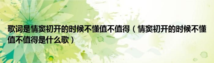 歌詞是情竇初開(kāi)的時(shí)候不懂值不值得（情竇初開(kāi)的時(shí)候不懂值不值得是什么歌）