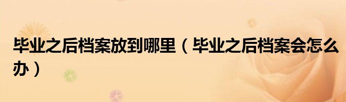 畢業(yè)之后檔案放到哪里（畢業(yè)之后檔案會怎么辦）