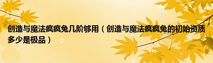 創(chuàng)造與魔法瘋瘋兔幾階夠用（創(chuàng)造與魔法瘋瘋兔的初始資質(zhì)多少是極品）