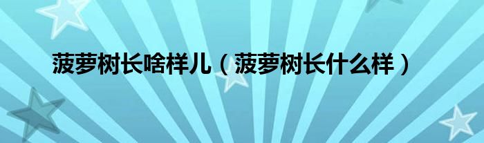 菠蘿樹長(zhǎng)啥樣兒（菠蘿樹長(zhǎng)什么樣）