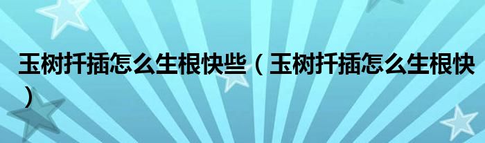 玉樹(shù)扦插怎么生根快些（玉樹(shù)扦插怎么生根快）