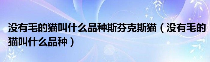 沒(méi)有毛的貓叫什么品種斯芬克斯貓（沒(méi)有毛的貓叫什么品種）