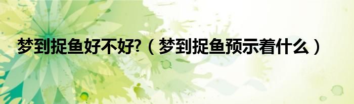 夢到捉魚好不好?（夢到捉魚預示著什么）