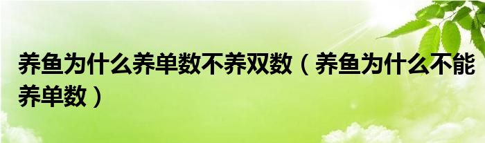 養(yǎng)魚為什么養(yǎng)單數(shù)不養(yǎng)雙數(shù)（養(yǎng)魚為什么不能養(yǎng)單數(shù)）