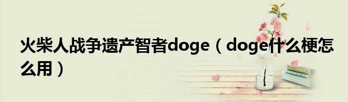 火柴人戰(zhàn)爭遺產(chǎn)智者doge（doge什么梗怎么用）