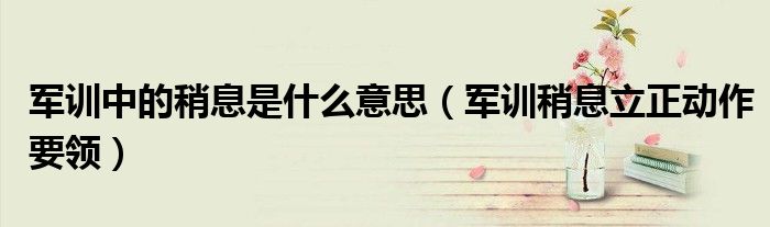 軍訓(xùn)中的稍息是什么意思（軍訓(xùn)稍息立正動作要領(lǐng)）