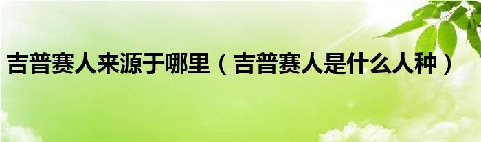 吉普賽人來源于哪里（吉普賽人是什么人種）