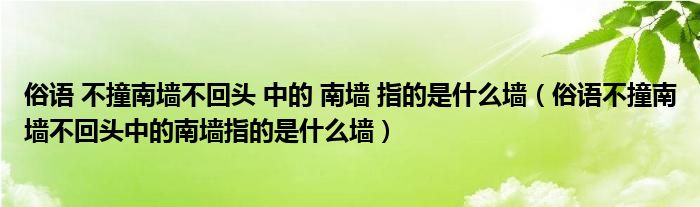 俗語 不撞南墻不回頭 中的 南墻 指的是什么墻（俗語不撞南墻不回頭中的南墻指的是什么墻）