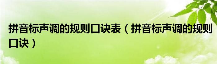 拼音標(biāo)聲調(diào)的規(guī)則口訣表（拼音標(biāo)聲調(diào)的規(guī)則口訣）
