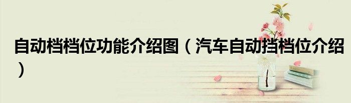 自動(dòng)檔檔位功能介紹圖（汽車自動(dòng)擋檔位介紹）