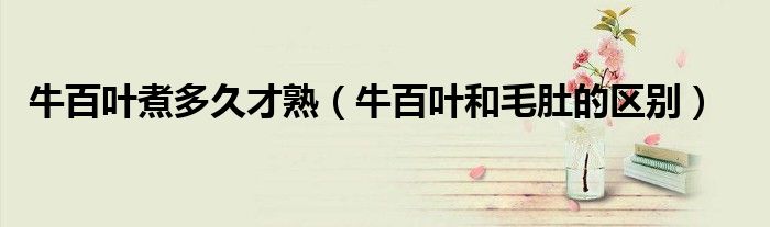 牛百葉煮多久才熟（牛百葉和毛肚的區(qū)別）