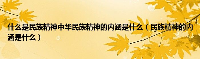 什么是民族精神中華民族精神的內(nèi)涵是什么（民族精神的內(nèi)涵是什么）