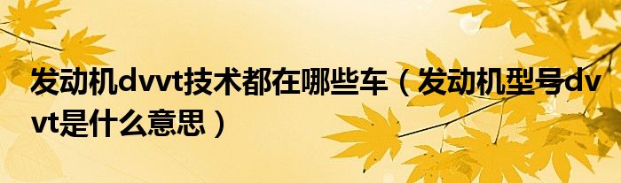 發(fā)動(dòng)機(jī)dvvt技術(shù)都在哪些車（發(fā)動(dòng)機(jī)型號(hào)dvvt是什么意思）