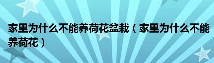家里為什么不能養(yǎng)荷花盆栽（家里為什么不能養(yǎng)荷花）