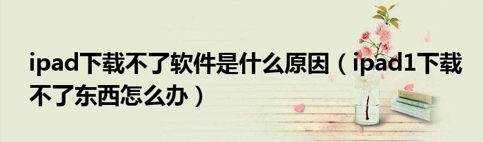 ipad下載不了軟件是什么原因（ipad1下載不了東西怎么辦）