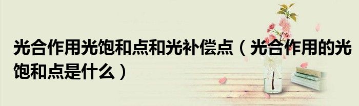 光合作用光飽和點和光補償點（光合作用的光飽和點是什么）
