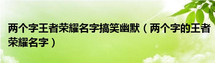 兩個字王者榮耀名字搞笑幽默（兩個字的王者榮耀名字）