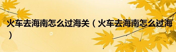 火車去海南怎么過海關(guān)（火車去海南怎么過海）