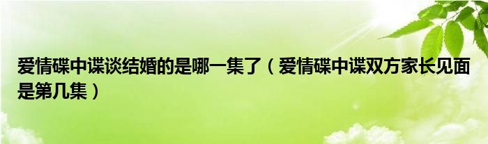 愛情碟中諜談結(jié)婚的是哪一集了（愛情碟中諜雙方家長見面是第幾集）
