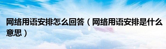 網(wǎng)絡(luò)用語(yǔ)安排怎么回答（網(wǎng)絡(luò)用語(yǔ)安排是什么意思）