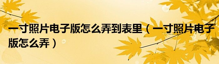 一寸照片電子版怎么弄到表里（一寸照片電子版怎么弄）