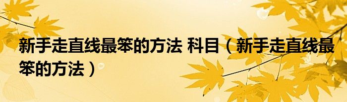新手走直線最笨的方法 科目（新手走直線最笨的方法）