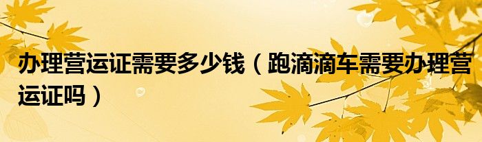 辦理營運證需要多少錢（跑滴滴車需要辦理營運證嗎）