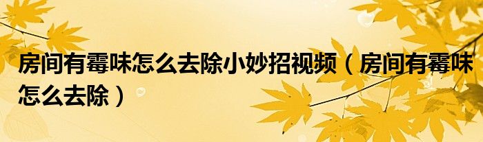 房間有霉味怎么去除小妙招視頻（房間有霉味怎么去除）