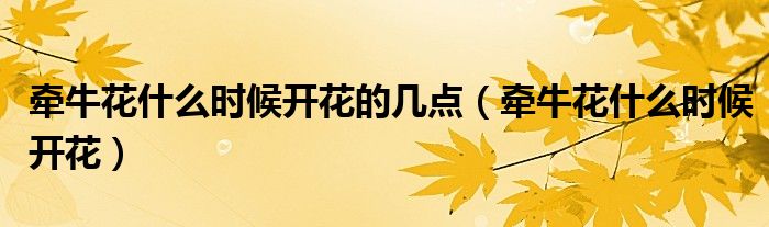 牽?；ㄊ裁磿r(shí)候開(kāi)花的幾點(diǎn)（牽?；ㄊ裁磿r(shí)候開(kāi)花）