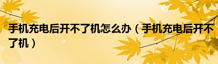 手機(jī)充電后開不了機(jī)怎么辦（手機(jī)充電后開不了機(jī)）