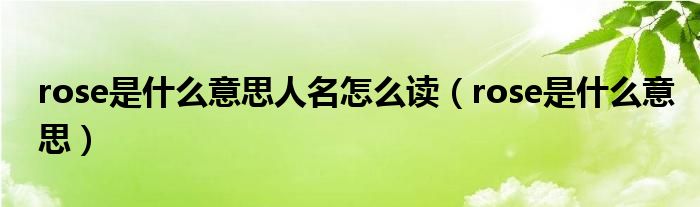rose是什么意思人名怎么讀（rose是什么意思）