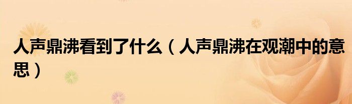 人聲鼎沸看到了什么（人聲鼎沸在觀潮中的意思）