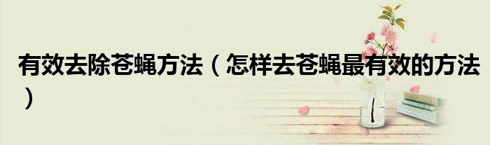 有效去除蒼蠅方法（怎樣去蒼蠅最有效的方法）