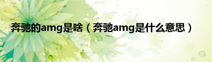 奔馳的amg是啥（奔馳amg是什么意思）