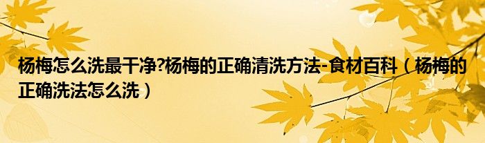 楊梅怎么洗最干凈?楊梅的正確清洗方法-食材百科（楊梅的正確洗法怎么洗）