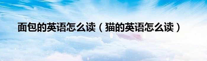 面包的英語(yǔ)怎么讀（貓的英語(yǔ)怎么讀）