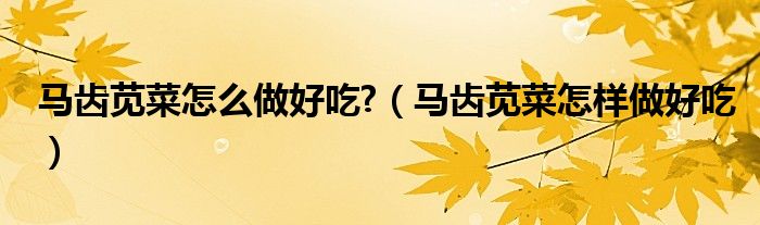馬齒莧菜怎么做好吃?（馬齒莧菜怎樣做好吃）