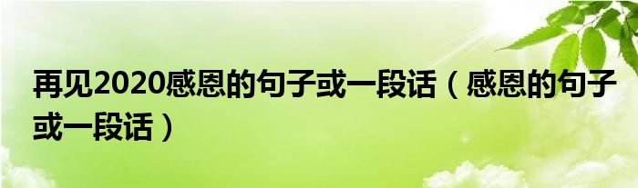 再見(jiàn)2020感恩的句子或一段話（感恩的句子或一段話）