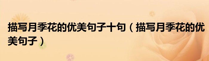 描寫月季花的優(yōu)美句子十句（描寫月季花的優(yōu)美句子）